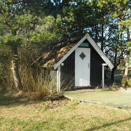 Traditional At Cold Hawaii * Torsted (Nordjylland)