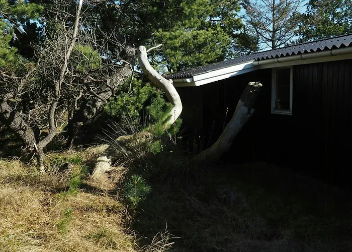 Hébergement de vacances Traditional At Cold Hawaii Torsted (Nordjylland)